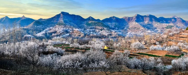 想把临沂的春天打包送给你，临沂最全赏花攻略来了