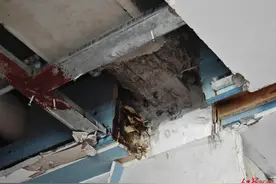 长沙一小区三栋精装交付房承重横梁主筋被切断，当地：初步检测认为房屋整体结构无影响图片