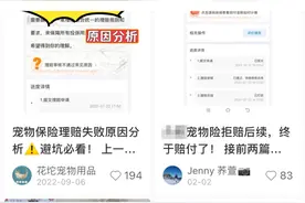 手把手带你走完宠物医保使用全流程，看完后报销再也不用愁！｜消保委亲测图片