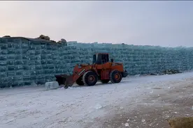 哈尔滨为2024年存冰，到夏天也不化，工作人员：最多300余人采运冰，草帘、塑料布和泡沫包裹图片