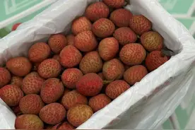 价格腰斩！即将大量上市！还有杭州人爱的它也有了，价格......图片