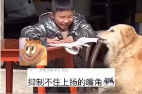 小孩哥指挥狗狗撕作业 笑容藏不住：没想到“案发现场”被家长录下图片