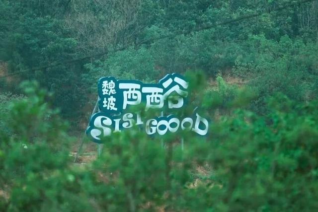 “双节”洛阳文旅放大招！免票、半价、折扣齐上阵