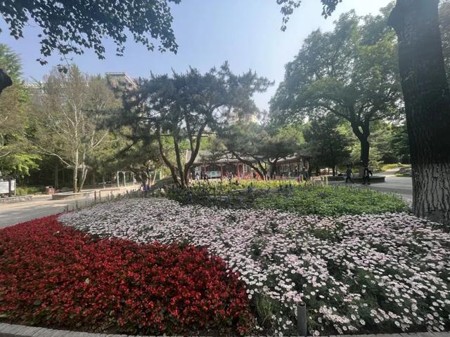 五月限定！西城花事正盛，赴一场初夏浪漫之约