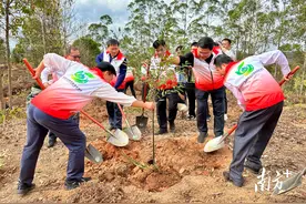 河源市县镇村四级联动种下15万株乡土常绿阔叶树苗木丨“河”力绿美图片