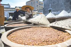 初夏晒酱忙图片