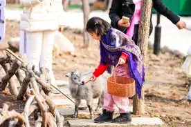 浦江郊野公园春季花展开幕！土拨鼠、卡皮巴拉……都来了→图片