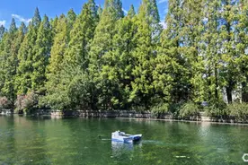 2025中国城市休闲化最新排行发布图片