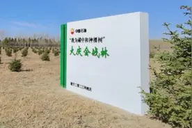 是何项目？吸引155.3万人次参与捐款！图片