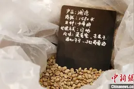 72小时2700公里“出滇记” 云南咖啡香飘长三角图片