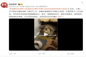 警惕土拨鼠宠物热潮背后风险图片