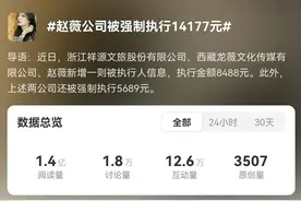 赵薇公司被强制执行14000人民币！曾在新加坡豪掷千万，国籍遭受质疑图片