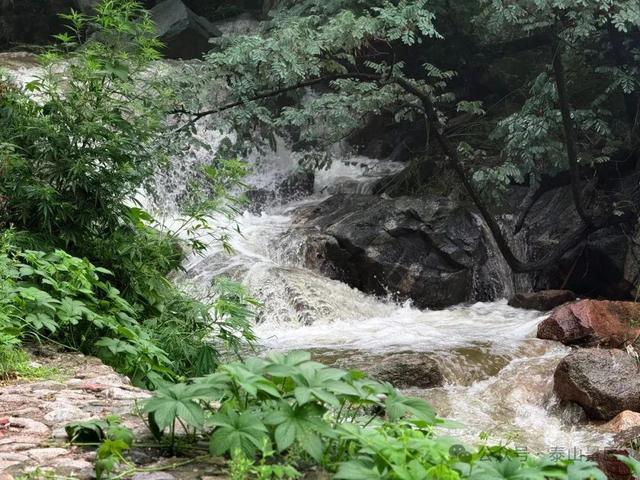 泰山雨霁：云雾织仙境，霞光染群峰，这泼墨山水里藏着夏日最治愈的奔赴