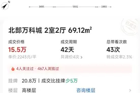 广东也有自己的“鹤岗”了？15.5万两房两厅，记者实探→图片