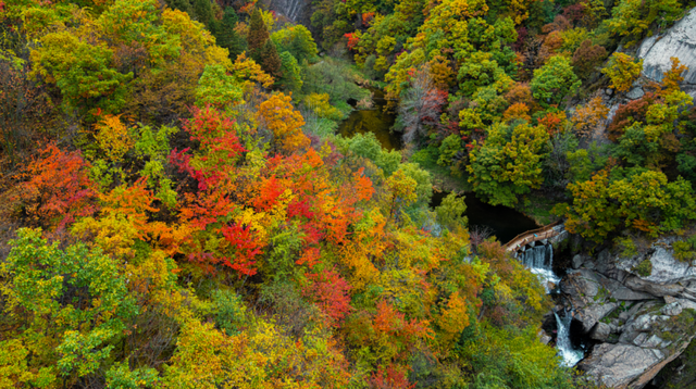 免门票福利！白云山绝美秋色正在上映→