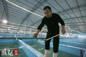 小小海马变身致富“宝马”，这是怎么做到的？图片