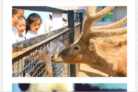 定格山东｜假日遛娃好去处！来临沂动植物园赏花赏景邂逅小动物图片