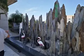 全部拆除！北京西城区一大厦楼顶藏着8处违建：假山、绿植、阳光房……图片