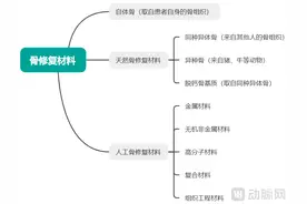人工骨新材料批量上市，同种异体骨该退场了吗？图片
