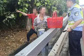不要采！不要买！不要吃！福建疾控最新提醒图片