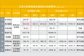 主权财富基金最新持仓亮相，“中东土豪”各偏爱哪些股？图片