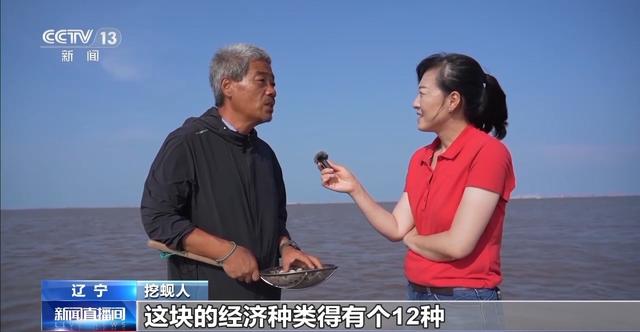 辽宁海参多少钱一斤 2026年辽宁大连海参多少钱一斤