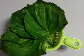 这种超宝藏“深色蔬菜”，能改善便秘、补钙、护眼图片