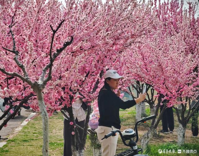 滨河踏春，景致迷人
