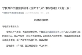 宁夏多景区因大风沙尘天气闭园，气象台：局地阵风可达11级以上图片