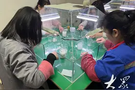 鸭肉价格低迷，鸭毛撑起肉鸭产业链利润空间图片