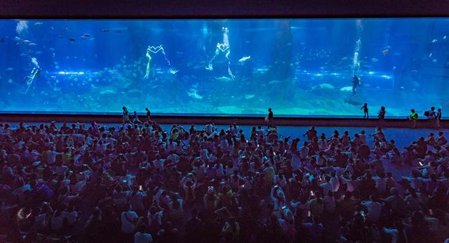 全域旅游！漳州长泰太“会”了