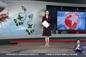 “天价耳环案”牵出公职人员违规调查 反腐不能只靠“网民吃瓜”！雅安联合工作组：黄杨钿甜父亲涉嫌违规经商办企、隐瞒违法生育二孩