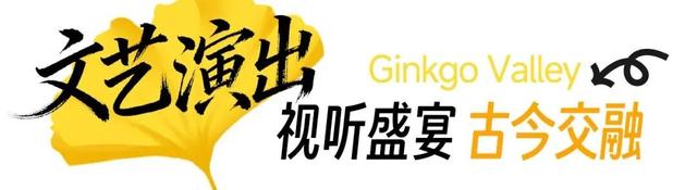 黄都黄了，不如来银杏谷走走