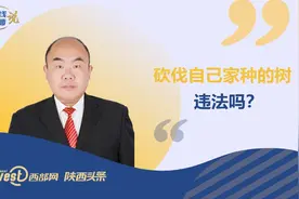 热线律师说丨砍伐自己家种的树，违法吗？图片