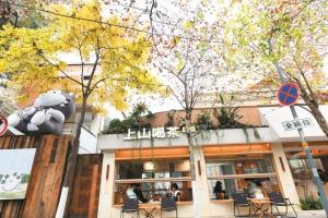 昆明的冬，是暖色系的！