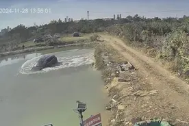 男子花22万元买车却投保29万元，车开进鱼塘！结果......图片