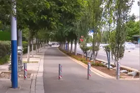 绿化美化进行时 呈贡区精心扮靓斗南花市门户图片