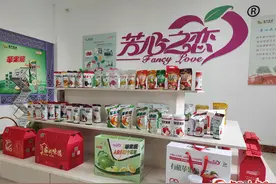 【锚定现代化 改革再深化】苹果脆 紫苏香 正宁县特色产业拓宽农民增收路图片