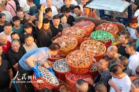浙江舟山：渔船归来 梭子蟹上市图片