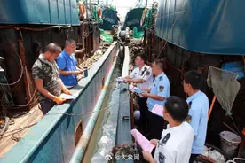 9月1日黄渤海休渔期结束，山东开海在即14000艘渔船蓄势待发图片