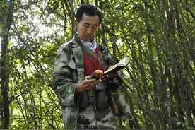 南涧无量山护林员罗开春：36载守护“森林精灵”西黑冠长臂猿图片