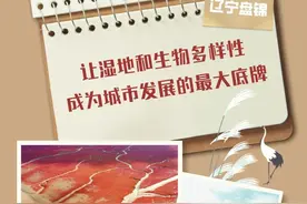 辽宁盘锦：让湿地和生物多样性成为城市发展的最大底牌图片