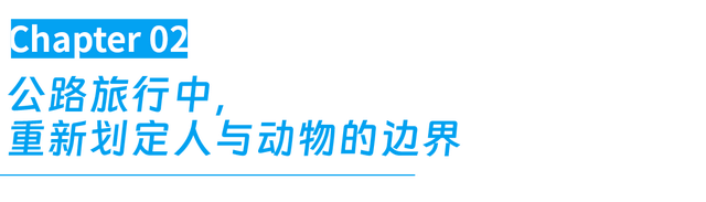 去高原遇到这网红，劝你看看就算了