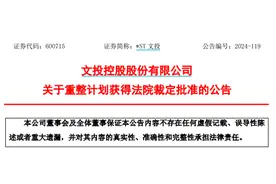 重整计划获批，*ST文投退市危机解除？图片