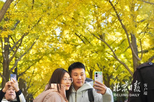 拥抱秋色！地坛银杏大道游人如潮