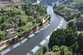 重庆生态答卷｜流域横向生态补偿机制让跨界河流从“各自管”到“一起管”图片