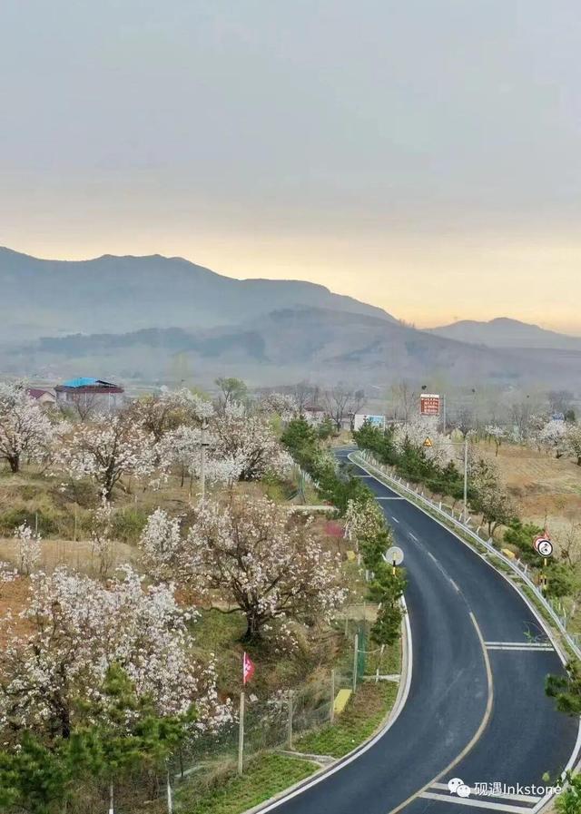 想把临沂的春天打包送给你，临沂最全赏花攻略来了