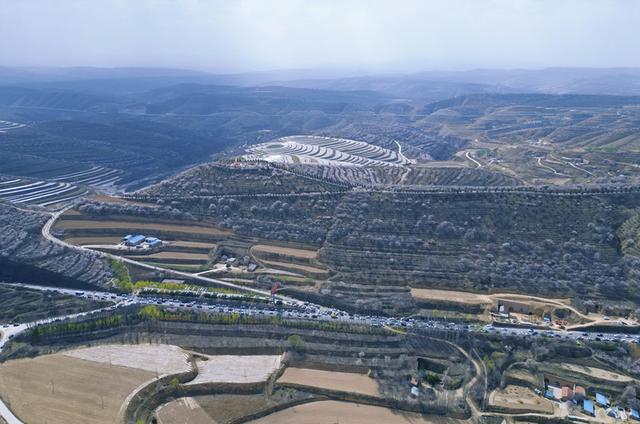 宁夏彭阳县：山花相聚约游人 文旅赋能消费旺