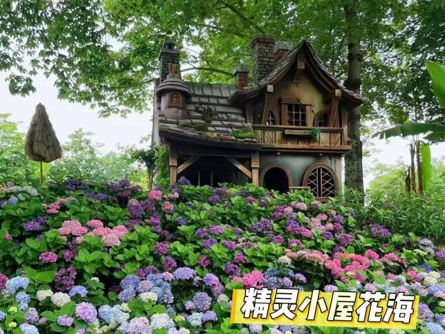 双节同庆 乐享三水丨美食、烟花、萌宠…在三水一次过足瘾！