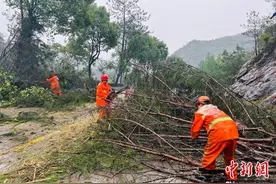福建连城突遭12级强风 公路部门全力抢修保畅通图片